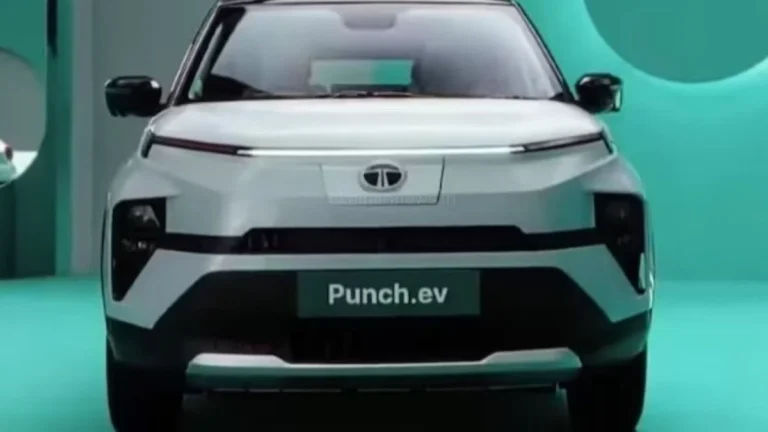 Tata Punch Car