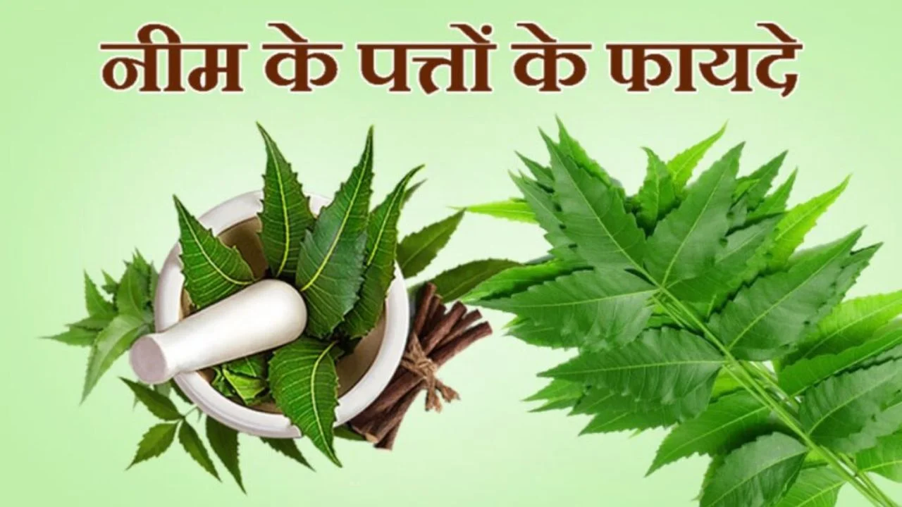 Neem ke Patte ke Fayde